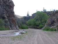 Putnam Canyon